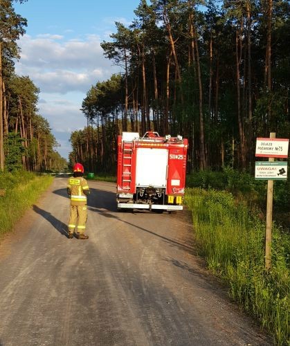 Włoszczowscy strażacy prowadzili kontrole w powiatowych lasach (ZDJĘCIA)