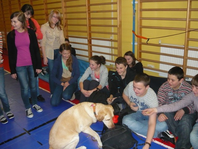 Labrador Feliks bardzo ufnie podchodził do uczniów. Każdy z nich mógł go bez obawy pogłaskać.