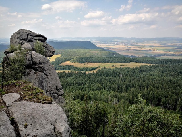 Małpolud w Górach Stołowych