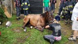 Koń przestraszył się burzy w Wodzisławiu i wpadł do kanału w garażu