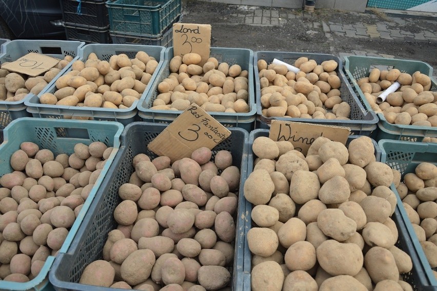Ceny owoców i warzyw targu w Stalowej Woli. Po ile ziemniaki, marchewka i jabłka?