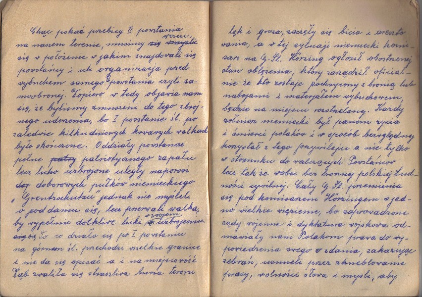 Rękopis pamiętnika powstańca, Józefa Bankiela
