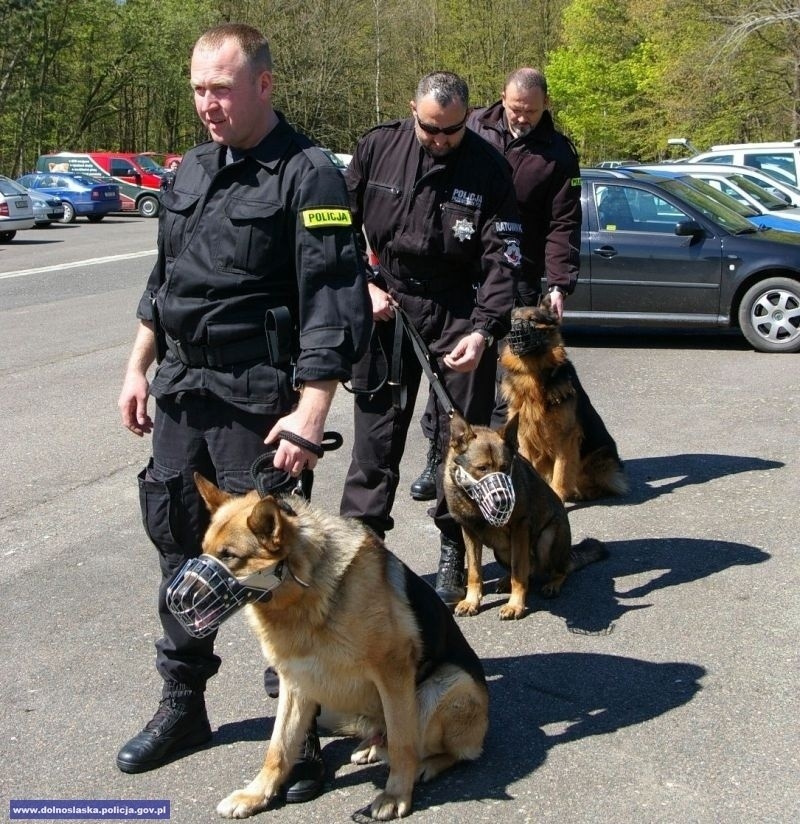 Wrocławski przewodnik psa policyjnego zdobył medal w międzynarodowych zawodach kynologicznych