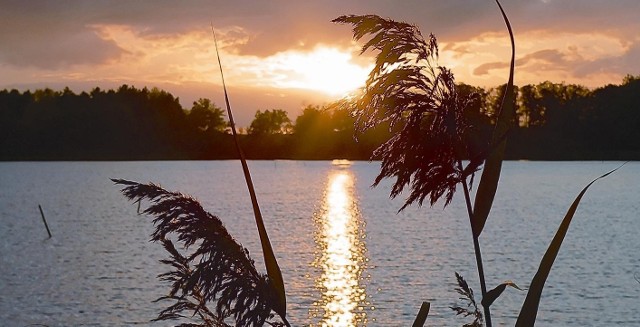 Kup w poniedziałek "Gazetę Lubuską" i zobacz, gdzie znajdują się Lubuskie Mazury!