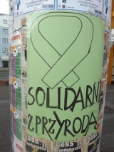 Solidarni z Puszczą Białowieską w Świnoujściu