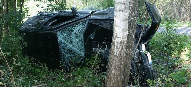 Volkswagen zatrzymał się na drzewie