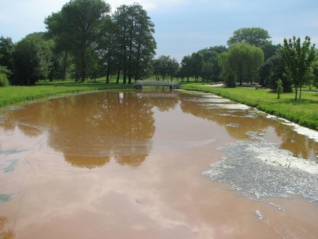 Rzeka biała w Bielsku Podlaskim - tak wyglądała wcześniej. Ostatnio miewała kolor zbliżony do białego