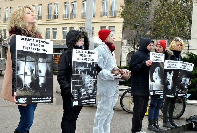 Protestowali przeciwko hodowli zwierząt na futro