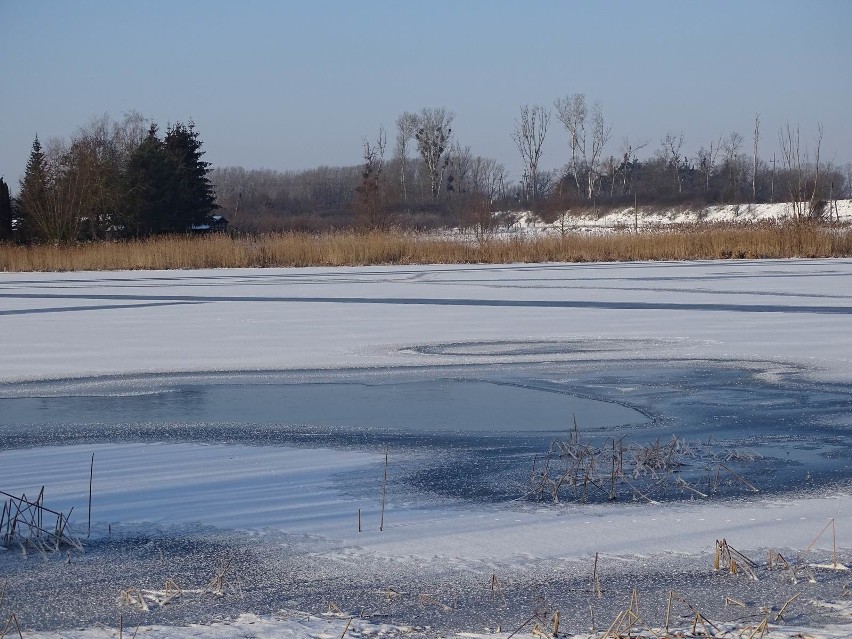 Jezioro Starogrodzkie w Chełmnie w zimowej aurze