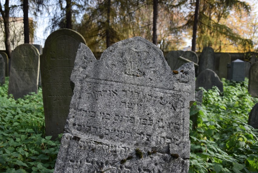 Niezwykła lekcja historii 1 listopada z dr Jackiem Proszykiem na zabytkowym cmentarzu żydowskim w Oświęcimiu [ZDJĘCIA]