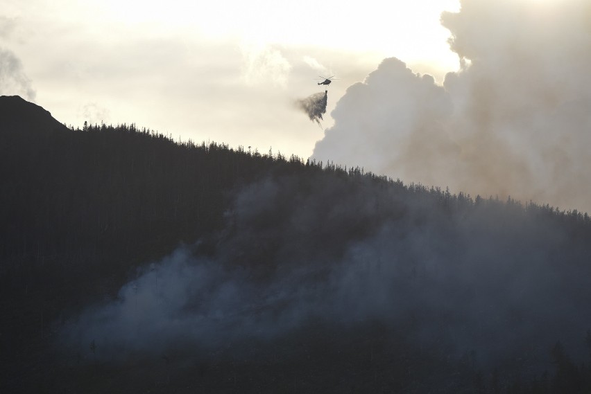 Tatry Słowackie. Wielki pożar lasu spowodowali robotnicy leśni [ZDJĘCIA]