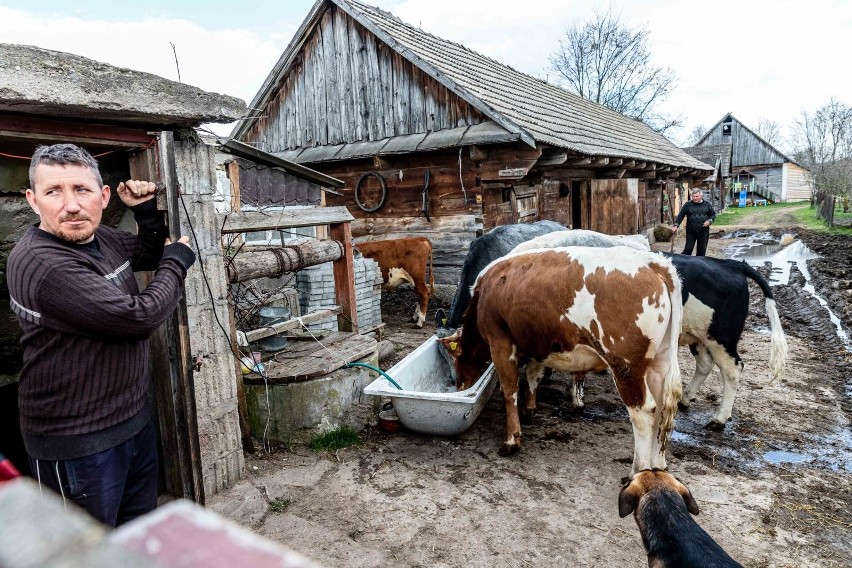 Rolnicy. Podlasie. Nowy mieszkaniec gospodarstwa Gienka i...