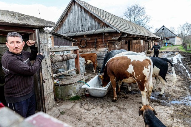 Rolnicy. Podlasie. Nowy mieszkaniec gospodarstwa Gienka i Andrzeja z Plutycz. Podbije serca telewidzów?