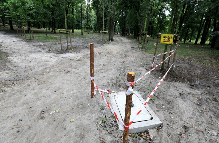 Nowy wygląd zyskuje prawie 20 hektarów Parku Tysiąclecia na...