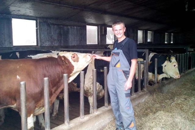 Marcin Pierzyna, uczeń Zespołu Szkół Rolniczych w Namysłowie wrześniowe praktyki spędził w niemieckim gospodarstwie, m.in. przy obsłudze bydła.