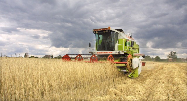 Gospodarstw rolnych w woj. śląskim coraz mniej. Urząd Statystyczny w Katowicach podał wstępne wyniki spisu rolnego. Zobacz kolejne zdjęcia. Przesuwaj zdjęcia w prawo - naciśnij strzałkę lub przycisk NASTĘPNE