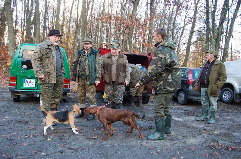 Zdjecia z polowania Kola Lowieckiego "Knieja" nadeslane...