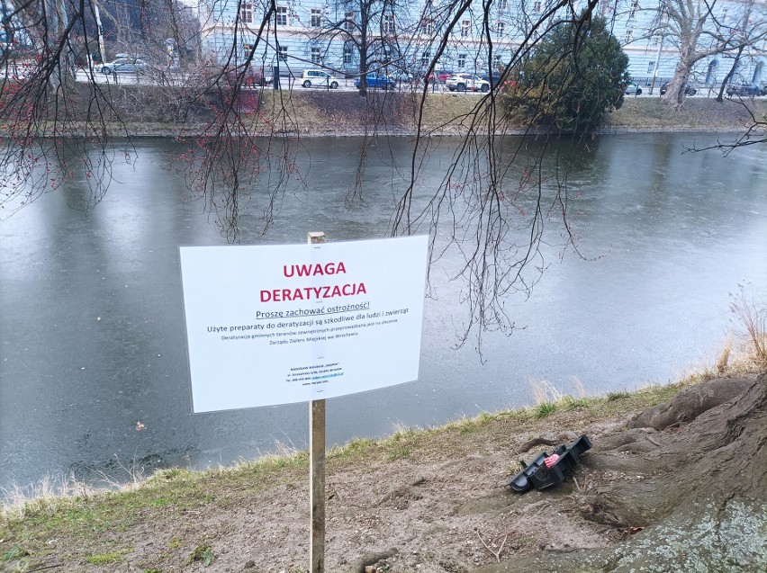 Ekipy deratyzacyjne interweniowały przy Promenadzie...