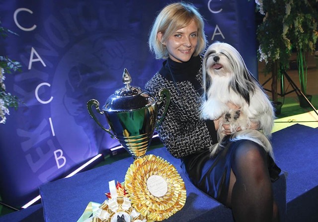Sushi najpiękniejszym psem w RzeszowieZwycięzcą VI Międzynarodowej Wystawy Psów Rasowych w Rzeszowie został "Sushi" rasy Lhasa Apso.