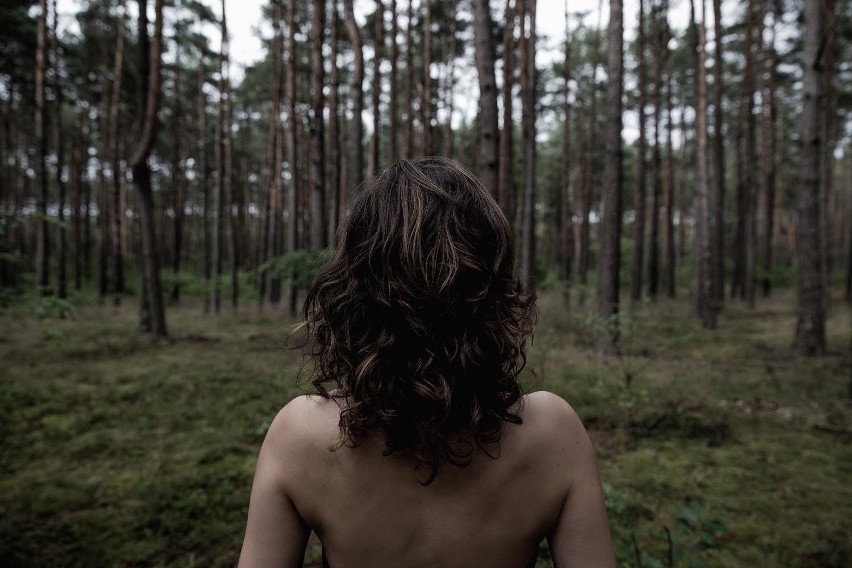 Into the Forest, © Katarzyna Skotnicka-Nowak