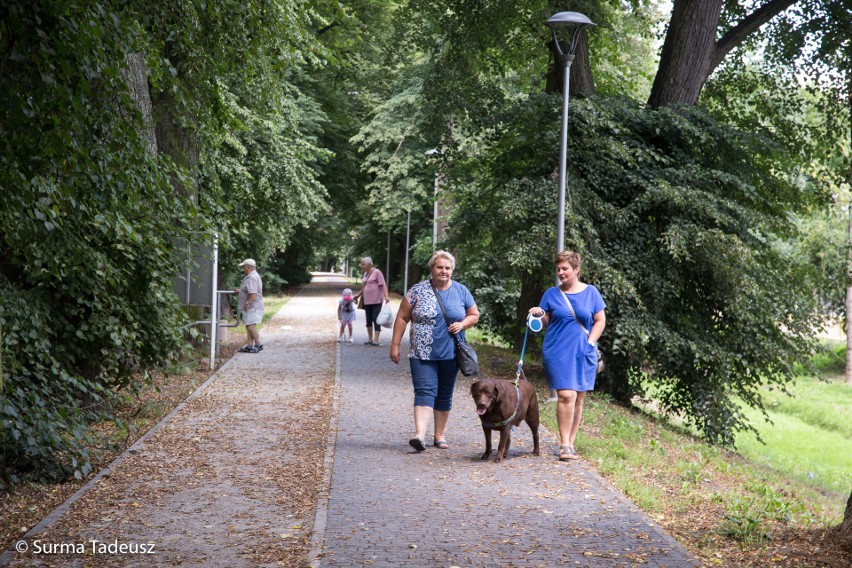 Trwa remont w stargardzkim parku Jagiellońskim [ZDJĘCIA]