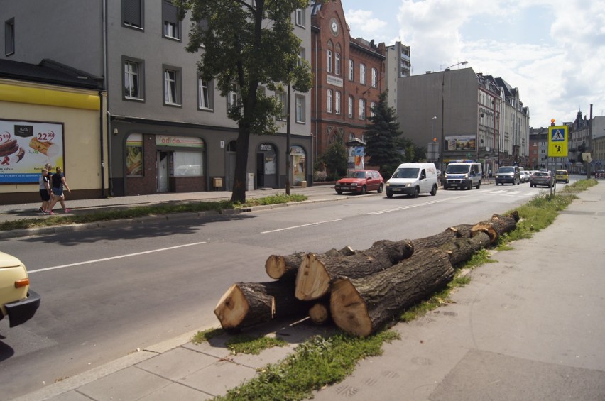 Wycięte drzewa przy ul. Wrocławskiej w Opolu