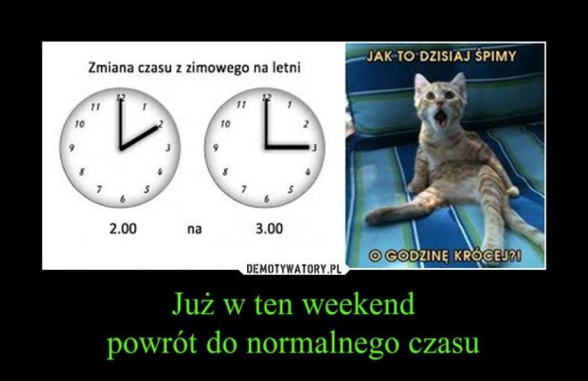 Zmiana czasu 2019. Możesz to przeżyć na wesoło MEMY