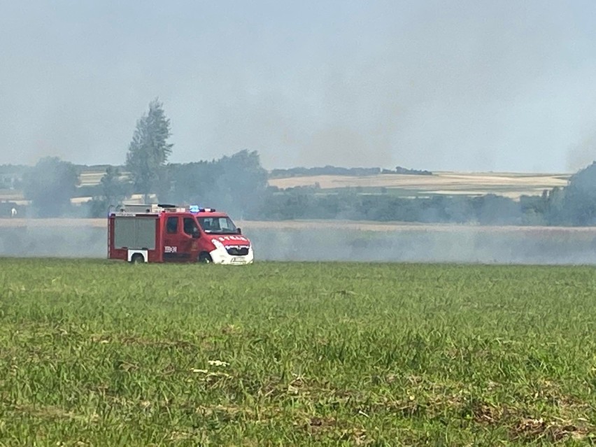 Pożar na polach pomiędzy Jerzmanowicami a Gotkowicami