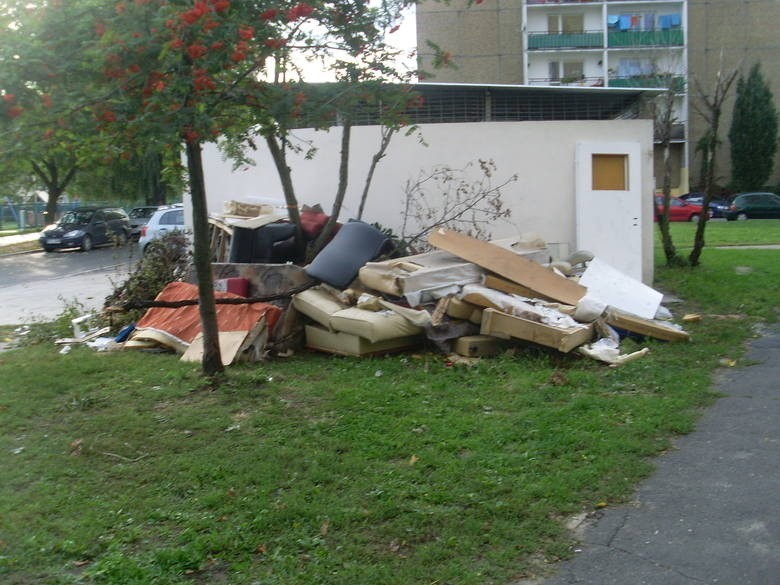 Śmieci w Poznaniu: Gabaryty zostaną w końcu wywiezione!