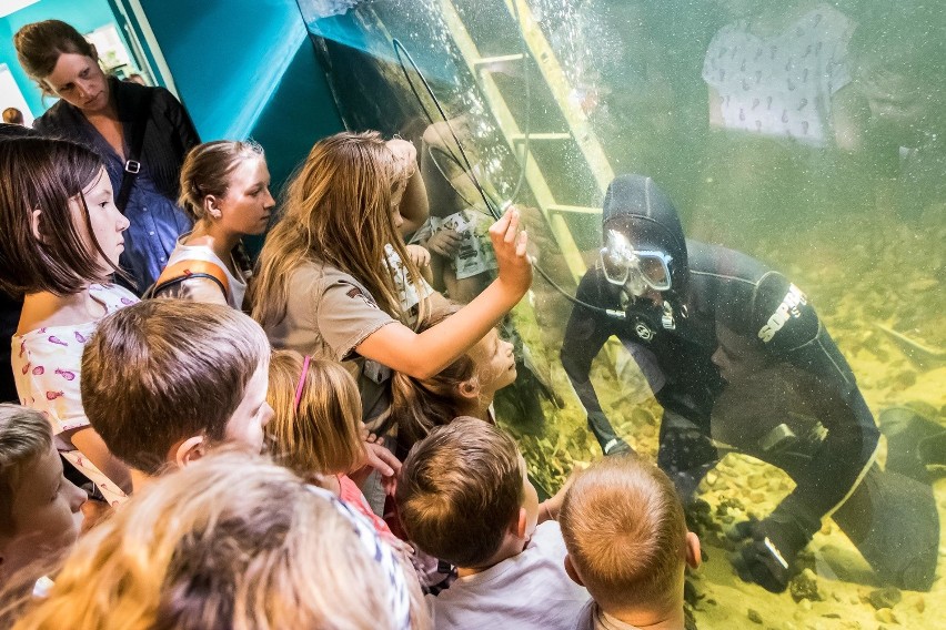 Karmienie gadów i nurkowanie w ZOO w Myślęcinku...