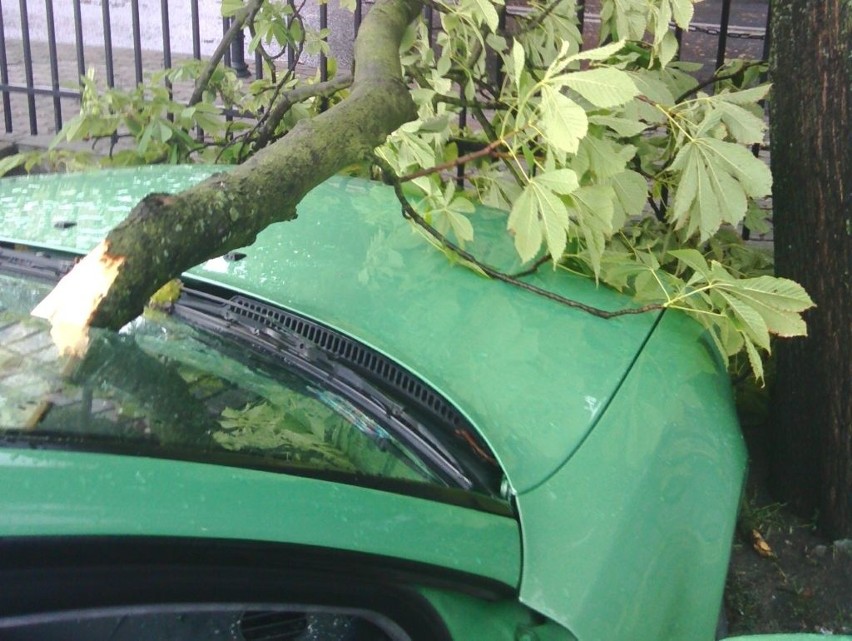 Konar drzewa przebił szybę samochodu osobowego.