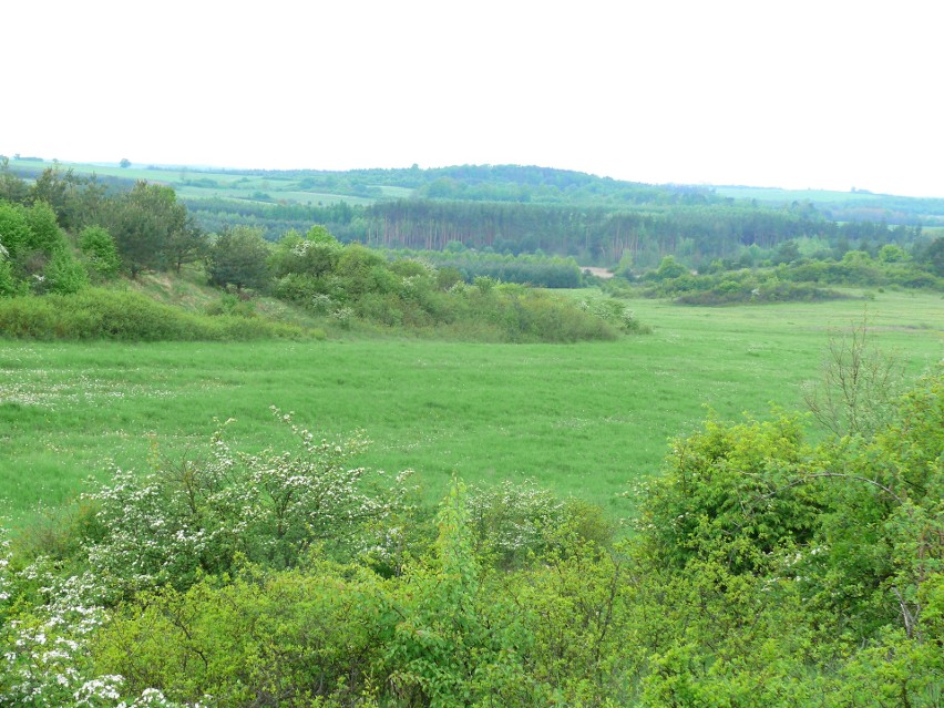 W okolicach Obic miało być lotnisko a może będzie… rezerwat [ZDJĘCIA] 