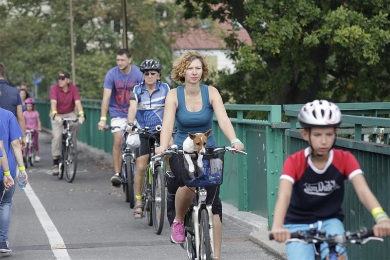 Ponad setka rowerzystów pojawiła się na rajdzie, na który...