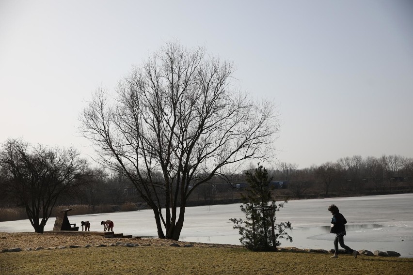 Kraków. Budują plażę i toalety nad Bagrami [ZDJĘCIA, WIZUALIZACJE]