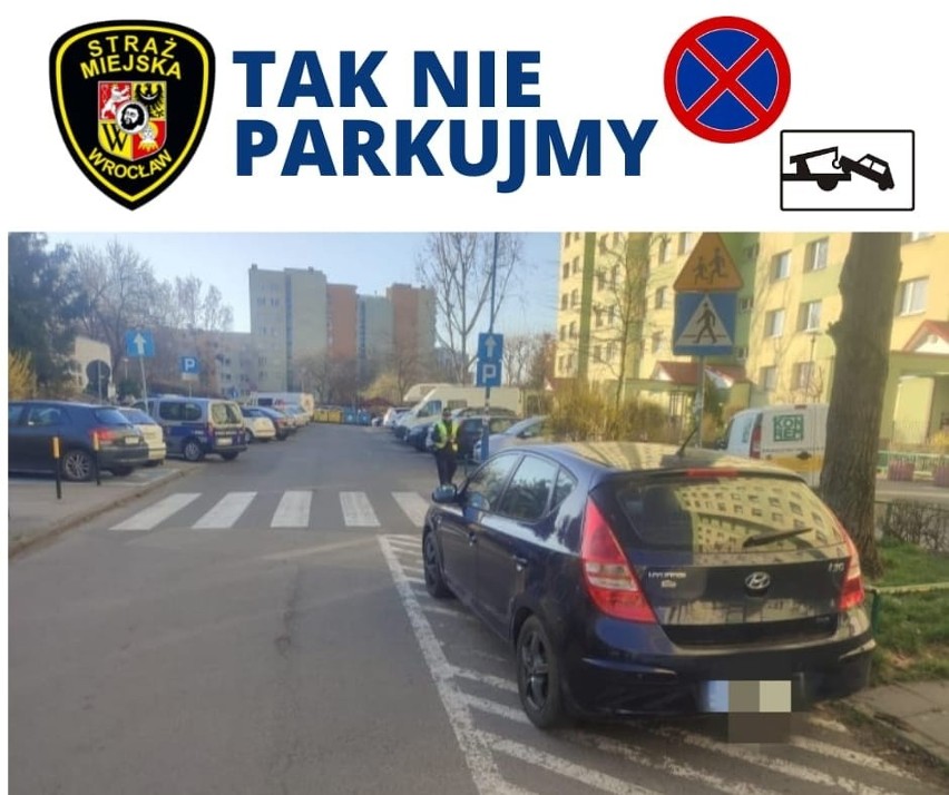 Mistrzowie parkowania na celowniku wrocławskich strażników miejskich [ZDJĘCIA]