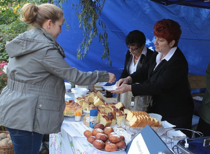 Festiwal Ziemniaka. w Muzeum Wsi Radomskiej