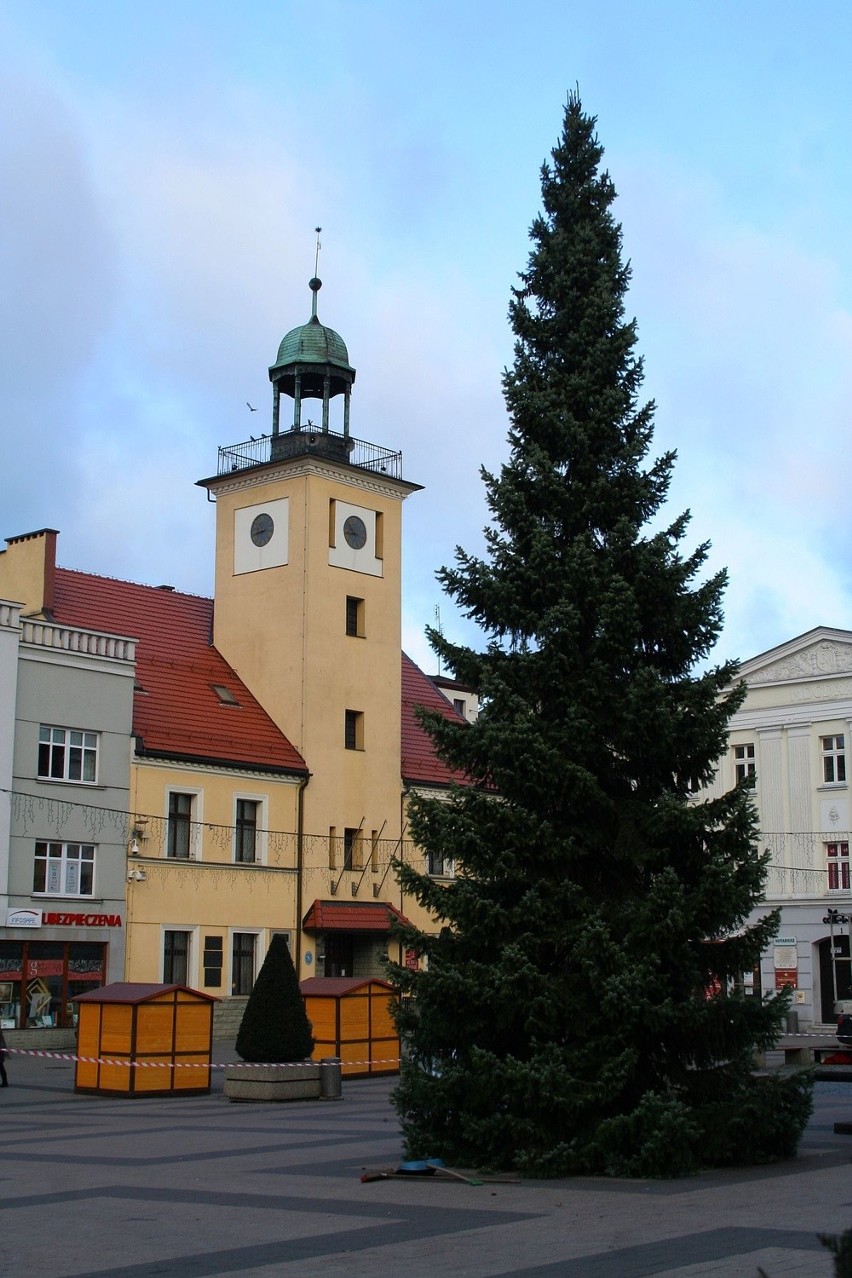 Rybnik stroi się na święta. Jemioła dla zakochanych w parku...