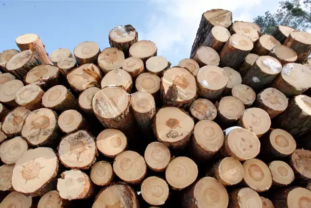 Od 2024 r. obowiązują nowe przepisy antysmogowe, za palenie w piecu nieodpowiednim drewnem można dostać mandat.