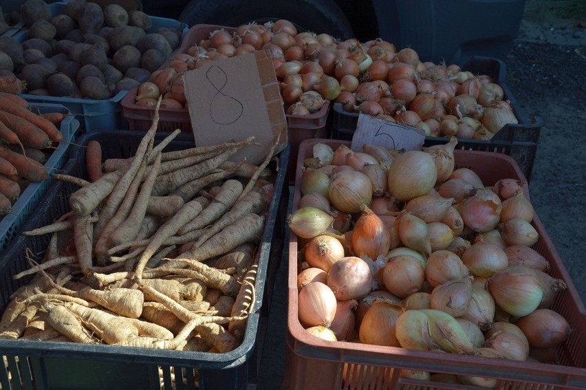 Śliwki podbijają targ w Stalowej Woli! Oto ceny warzyw i owoców z piątku 8 września