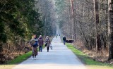 Kozłowiecki Park Krajobrazowy budzi się do życia po zimie. Zobacz fotorelację z niedzielnego spaceru. Zdjęcia