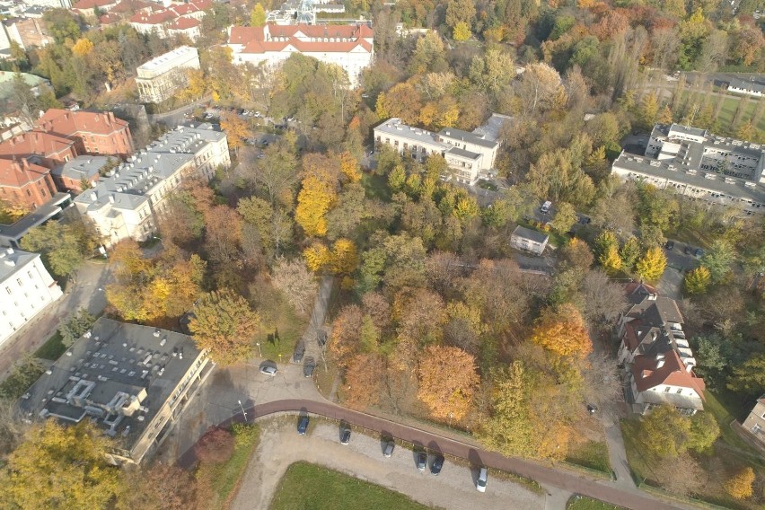 Kraków. Nowy pomysł na Wesołą: Via Medicorum - szlak promujący krakowską medycynę. Na to od lat czekają krakowianie? [ZDJĘCIA]