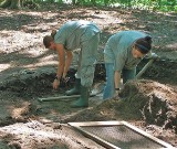 Co kryje ziemia w Dankowie. Archeolodzy szukają tajemnic łużyckich rycerzy