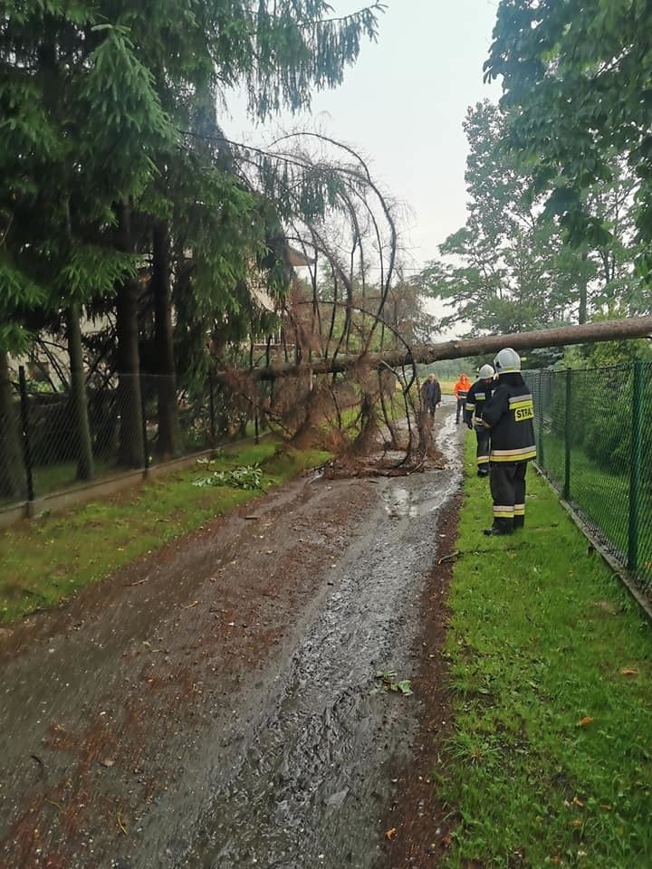 Błoto i zatory na drogach. Strażacy udrożniają rowy, przepusty, sprzątają po ulewach 