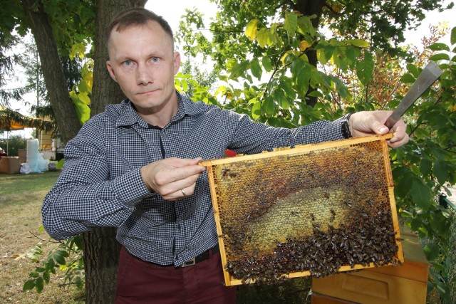Adam Król, wiceprezes zarządu Świętokrzyskiego Stowarzyszenia Pszczelarzy w Kielcach. prezentuje jeden z uli, które dostępne są na kiermaszu.