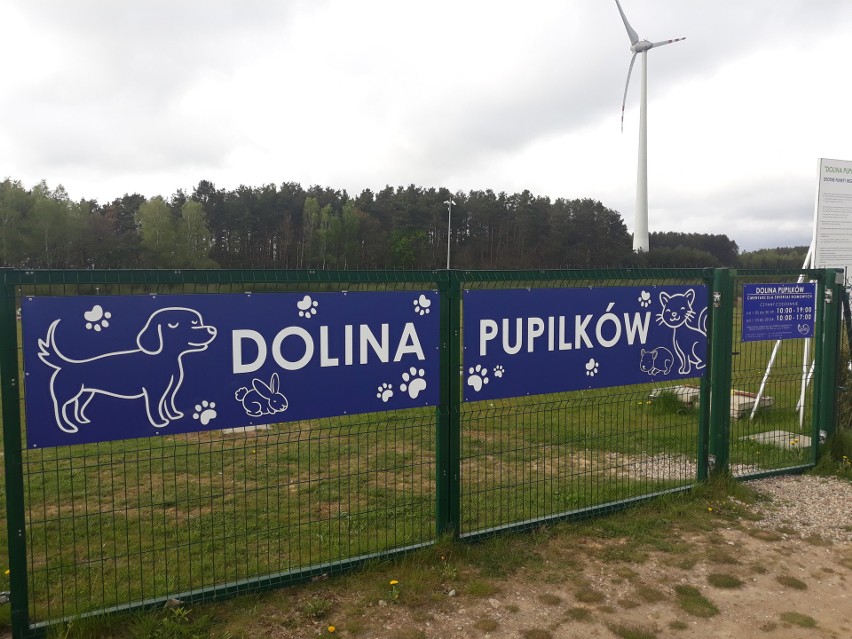 "Dolina Pupilków" - piękne świadectwo przyjaźni człowieka ze zwierzęciem. Śladami Misi, Neli, Zeusa i Lenina