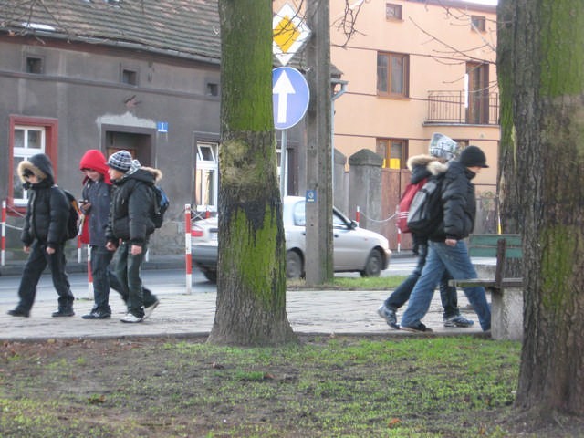 Dzięki temu, że właściciel godzi się na dzierżawę parku mieszkańcy mogą bezpiecznie chodzić wzdłuż ruchliwej drogi krajowej