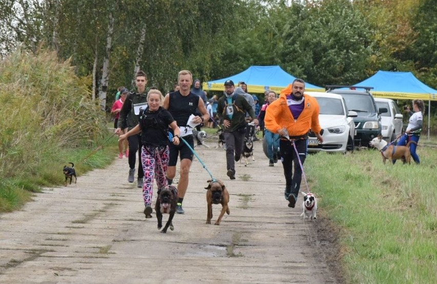 I Tarnopieski Dogtrekking, czyli bieg na orientację z psem...