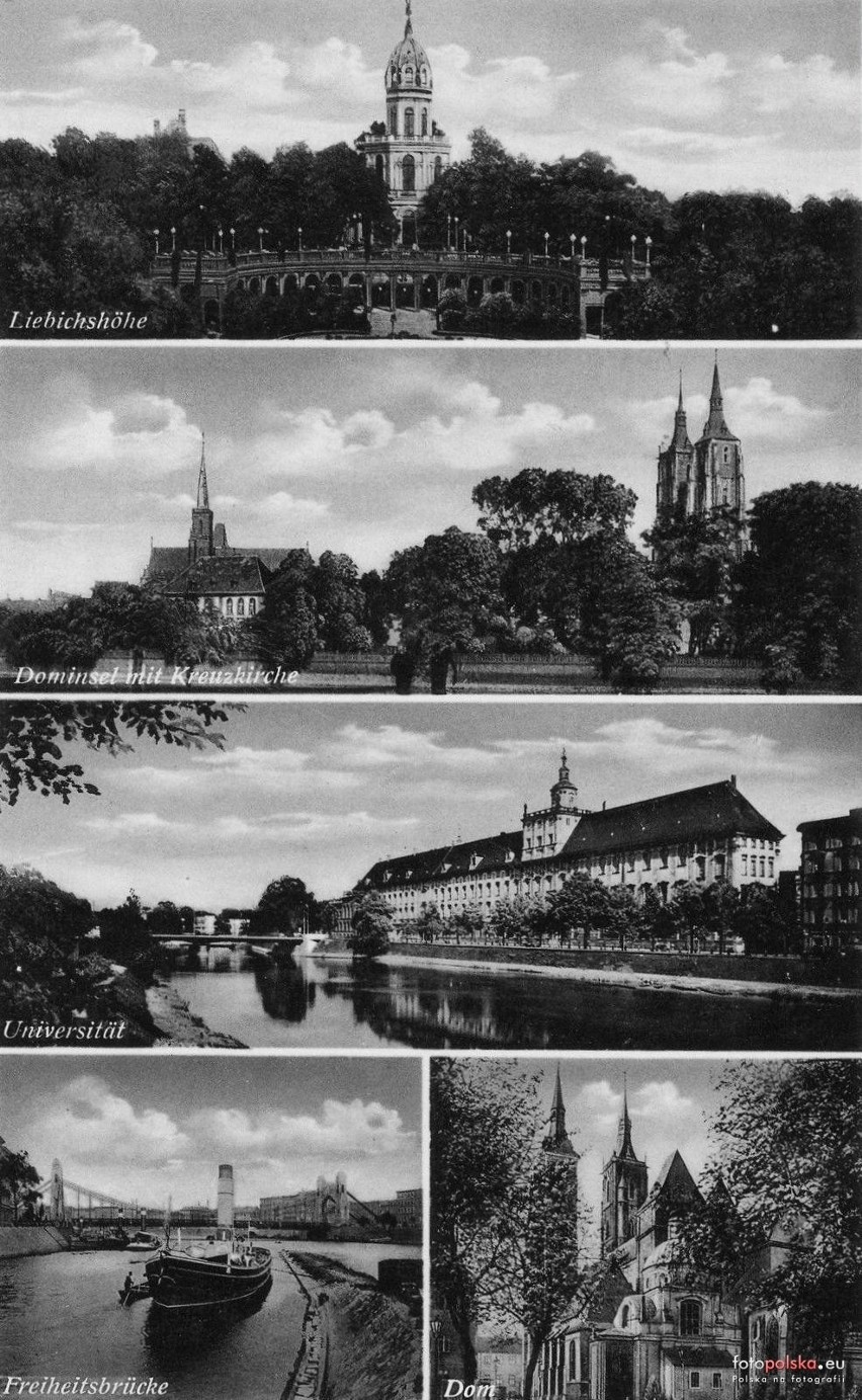 Lata 1930-1940 , Wrocław - Wzgórze Partyzantów, Ostrów...