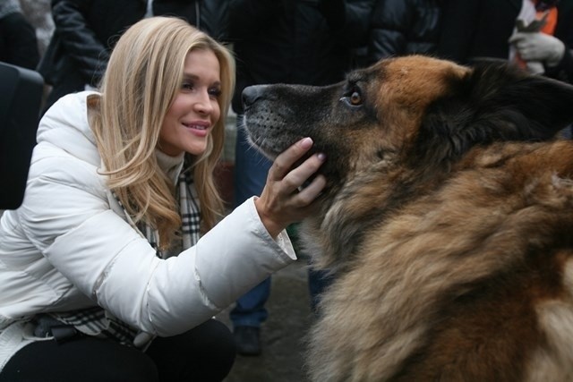 Joanna Krupa w schronisku dla zwierząt