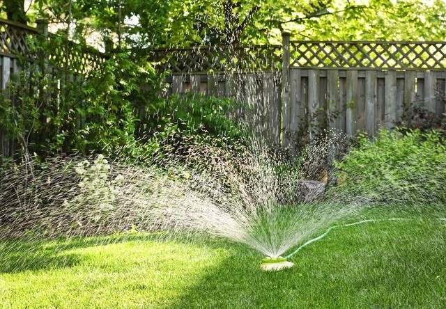 Spółki wodociągowe apelują o powstrzymanie się z podlewaniem ogródków.
